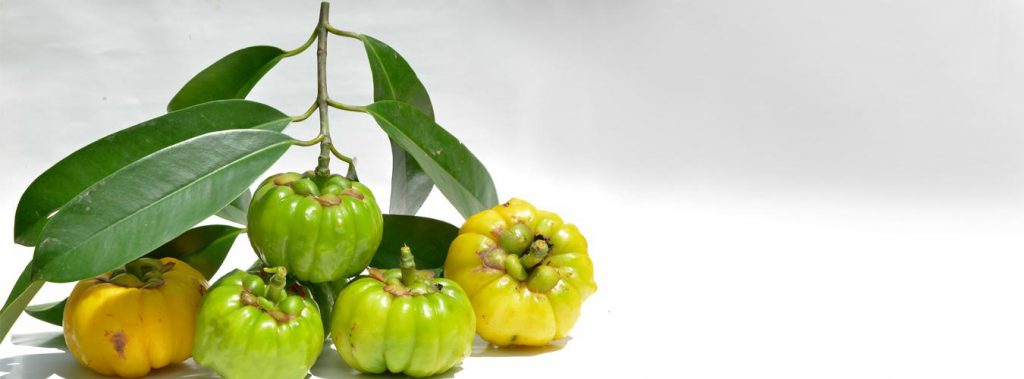 Garcinia Cambogia for Weight Loss: Supplement Reviews Benefits and Facts
